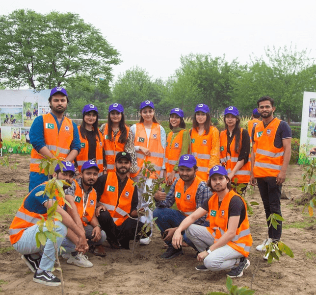 Volunteer team activity